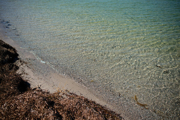 a wild beach and a pigeon sea water on a lovely sunny day.