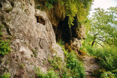 Güzel manzara ile yoğun orman küçük şelaleler.