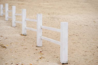 bir sonbahar günü sahilde ahşap çit