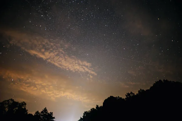 Cielo Nocturno Claro Con Una Colina Árboles Primer Plano — Foto de Stock