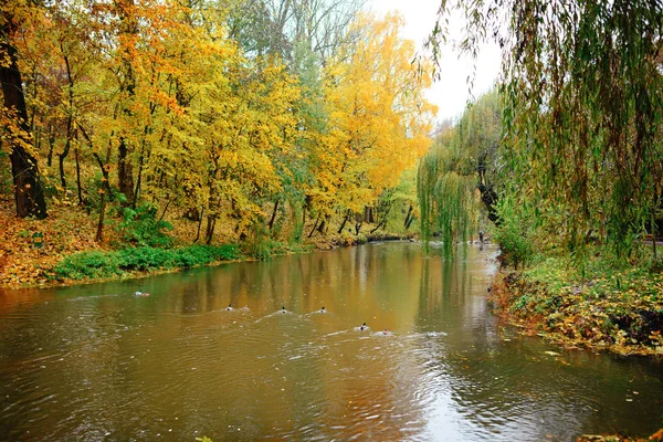 Herbstlandschaft Park Herbst Die Leuchtenden Farben Des Herbstes Park See — Stockfoto