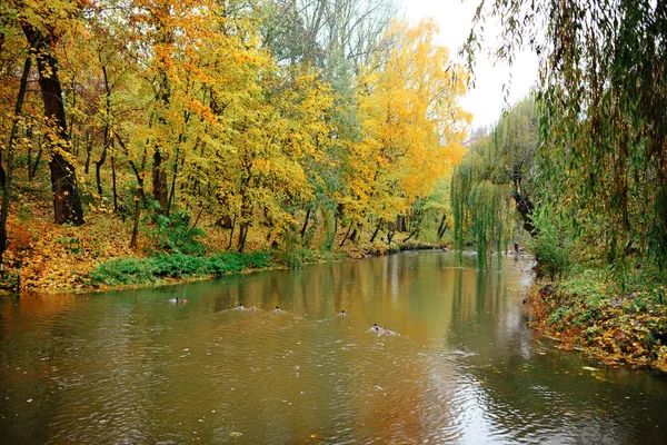 Herbstlandschaft Park Herbst Die Leuchtenden Farben Des Herbstes Park See — Stockfoto