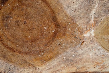 Yığılmış ahşap günlükleri ile çam ağaçları, arka plan