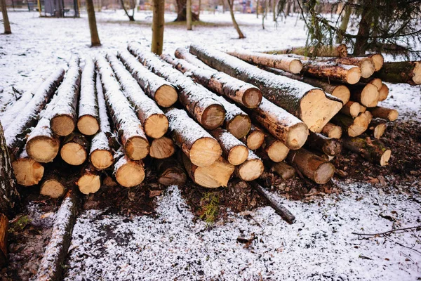 Montón Madera Fuego Picada Preparada Para Invierno — Foto de Stock