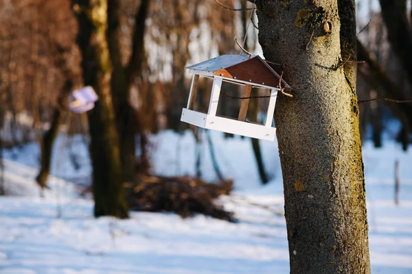 Vogelfutterstellen Baumhaus Für Die Vögel Fröhliche Wohnung — Stockfoto