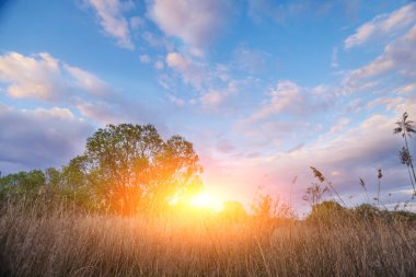 güzel günbatımı kırsal lane yukarıda. kare kompozisyon.