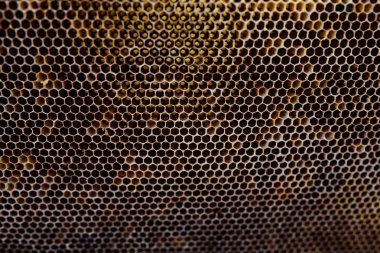 Balmumu bal peteğinin bir bölümünün arkaplan dokusu ve deseni tam çerçeve görünümlü altın bal dolu bir arı kovanına ait..