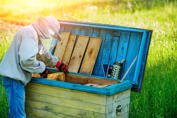 Apiary Beekeeper Works Bees Hives — Stock Photo, Image