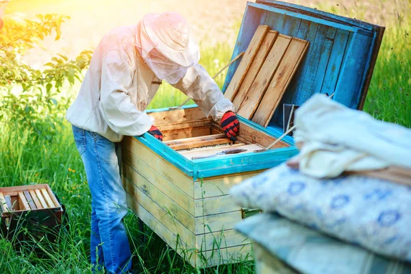 Пасіка Бджоляр Працює Поблизу Вуликів Бджіл — стокове фото