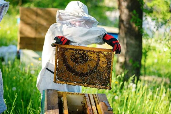 Пчеловод Берет Раму Сотовыми Сотами Улья — стоковое фото