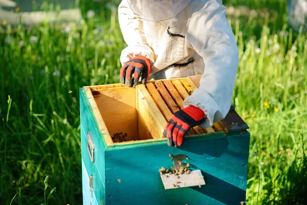 つの養蜂家は 養蜂場で動作します — ストック写真