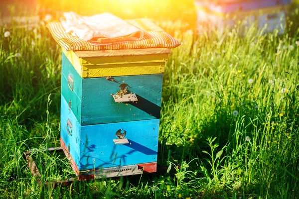 Polish Landscape Beehives Ecological Field — Stock Photo, Image