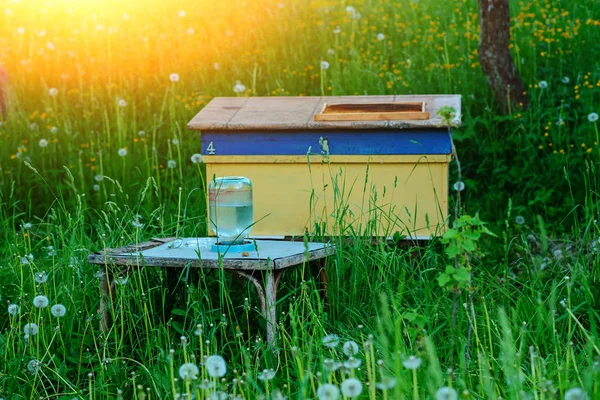 景観生態学的なフィールドにハチの巣を磨く — ストック写真