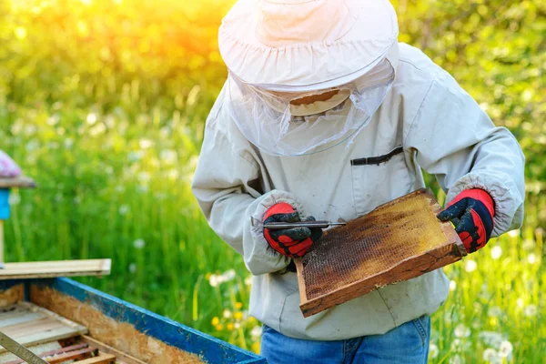 つの養蜂家は 養蜂場で動作します — ストック写真