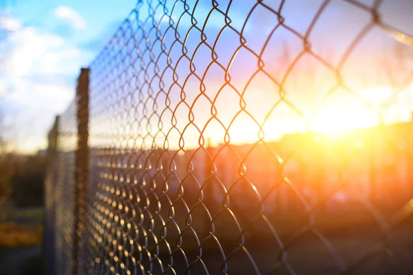 Hek Met Metalen Raster Perspectief Achtergrond — Stockfoto