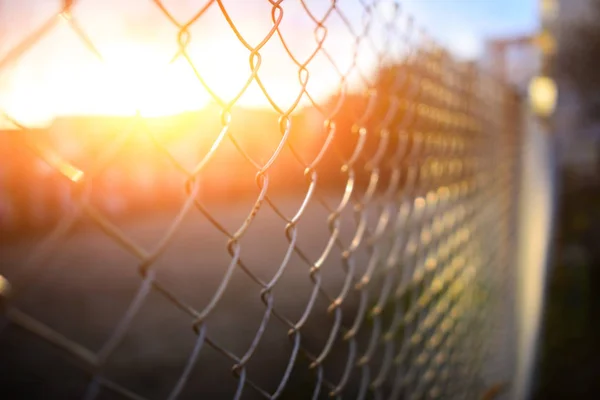 Hek Met Metalen Raster Perspectief Achtergrond — Stockfoto