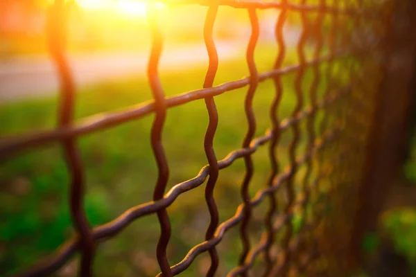 Hek Met Metalen Raster Perspectief Achtergrond — Stockfoto