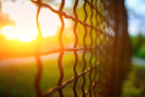 Hek Met Metalen Raster Perspectief Achtergrond — Stockfoto