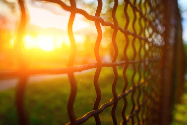 Hek Met Metalen Raster Perspectief Achtergrond — Stockfoto