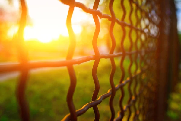 Hek Met Metalen Raster Perspectief Achtergrond — Stockfoto