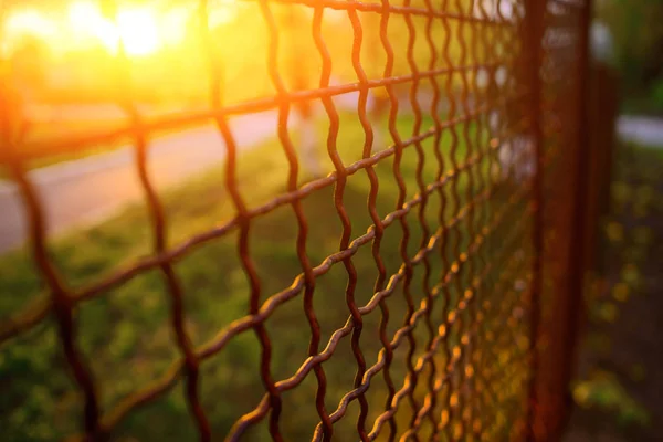 Hek Met Metalen Raster Perspectief Achtergrond — Stockfoto