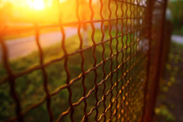 Hek Met Metalen Raster Perspectief Achtergrond — Stockfoto