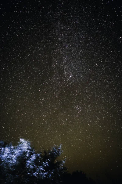 Vertikální Pozadí Světlé Hvězdnou Noční Oblohu Rozsvícenými Světly Siluety Stromů — Stock fotografie