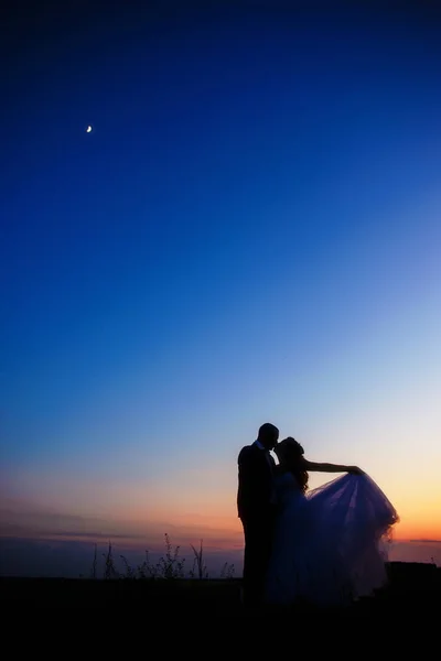 Silhouette Des Hochzeitspaares Feld Brautpaar Zusammen — Stockfoto