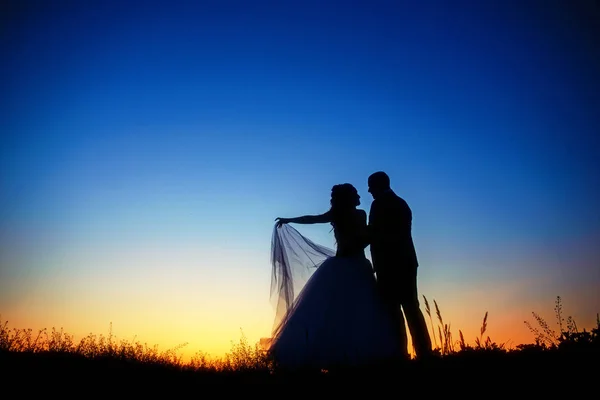 Silhueta Casal Casamento Campo Noiva Noivo Juntos — Fotografia de Stock