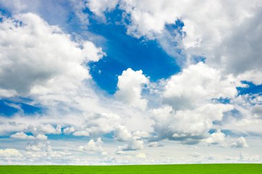 yeşil çimen ve parlak mavi gökyüzü