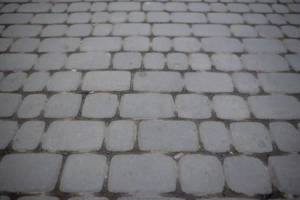 Perspective View Monotone Gray Brick Stone Street Road Sidewalk Pavement — Stock Photo, Image