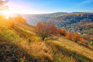 Güzel renkli sonbahar manzara ağaçlar ve kırsal kesimde greenfields hills görüntülemek.