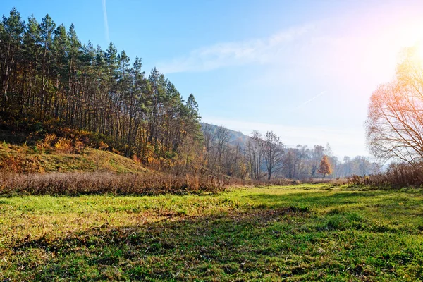 草地山上绿树成荫的蓝天与秋木景观 — 图库照片