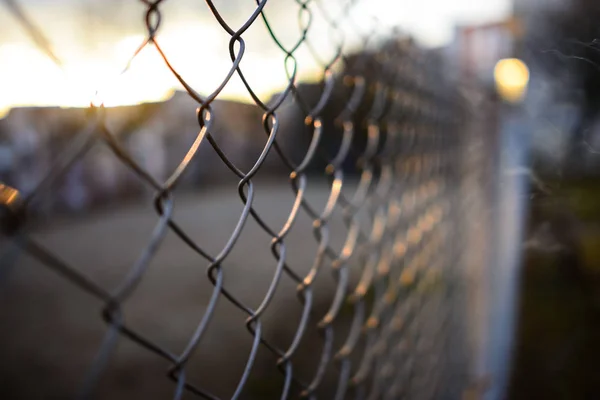 Hek Met Metalen Raster Perspectief Achtergrond — Stockfoto