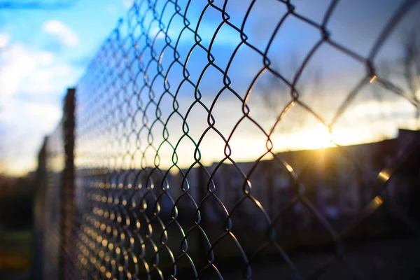 fence with metal grid in perspective, background