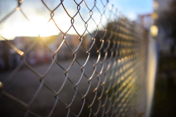 Hek Met Metalen Raster Perspectief Achtergrond — Stockfoto