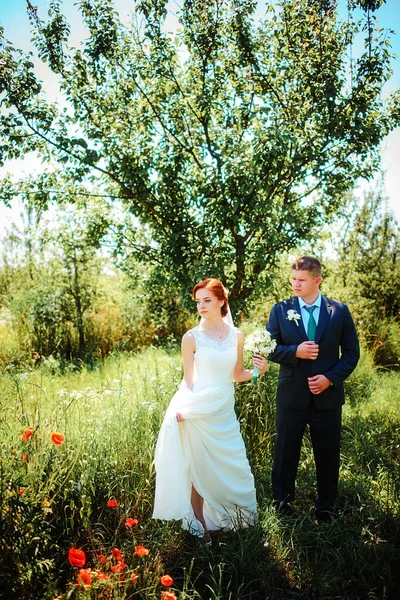 Onlar Park Yol Boyunca Yürüyüş Yaparken Gelin Damat Elleri Kaldığımız — Stok fotoğraf