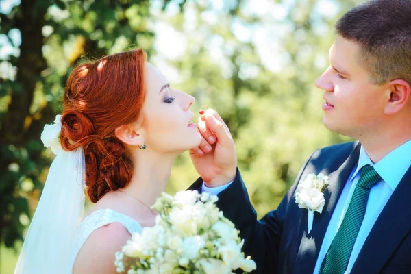 Пара Молодоженов Невеста Жених Свадьбе Зеленом Лесу Фото Поцелуя Природы — стоковое фото