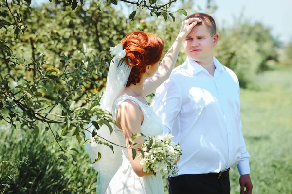Bruid Bruidegom Het Park Paar Jonggehuwden Bruid Bruidegom Bruiloft Natuur — Stockfoto