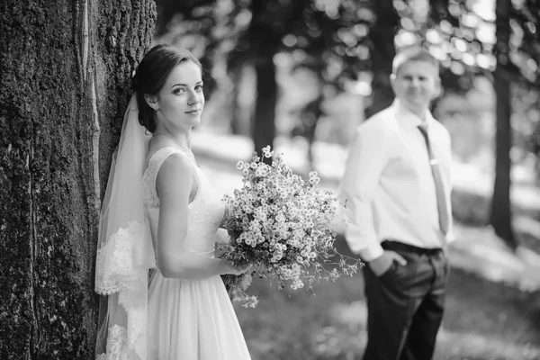 Novia Novio Park Par Recién Casados Novia Novio Boda Bosque —  Fotos de Stock