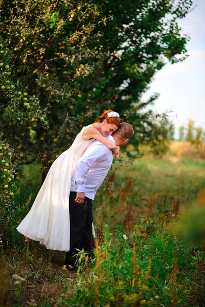 Bride Groom Kissing Apple Orchard Standing Branches Apple Tree — Stock Photo, Image