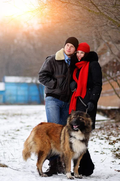 Happy Couple Dogs Winter Forest Lovely Moments Outdoor Holidays — Stock Photo, Image