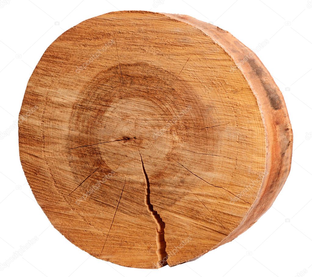 Cutted circular slice of the brown wooden log on a white isolated background.