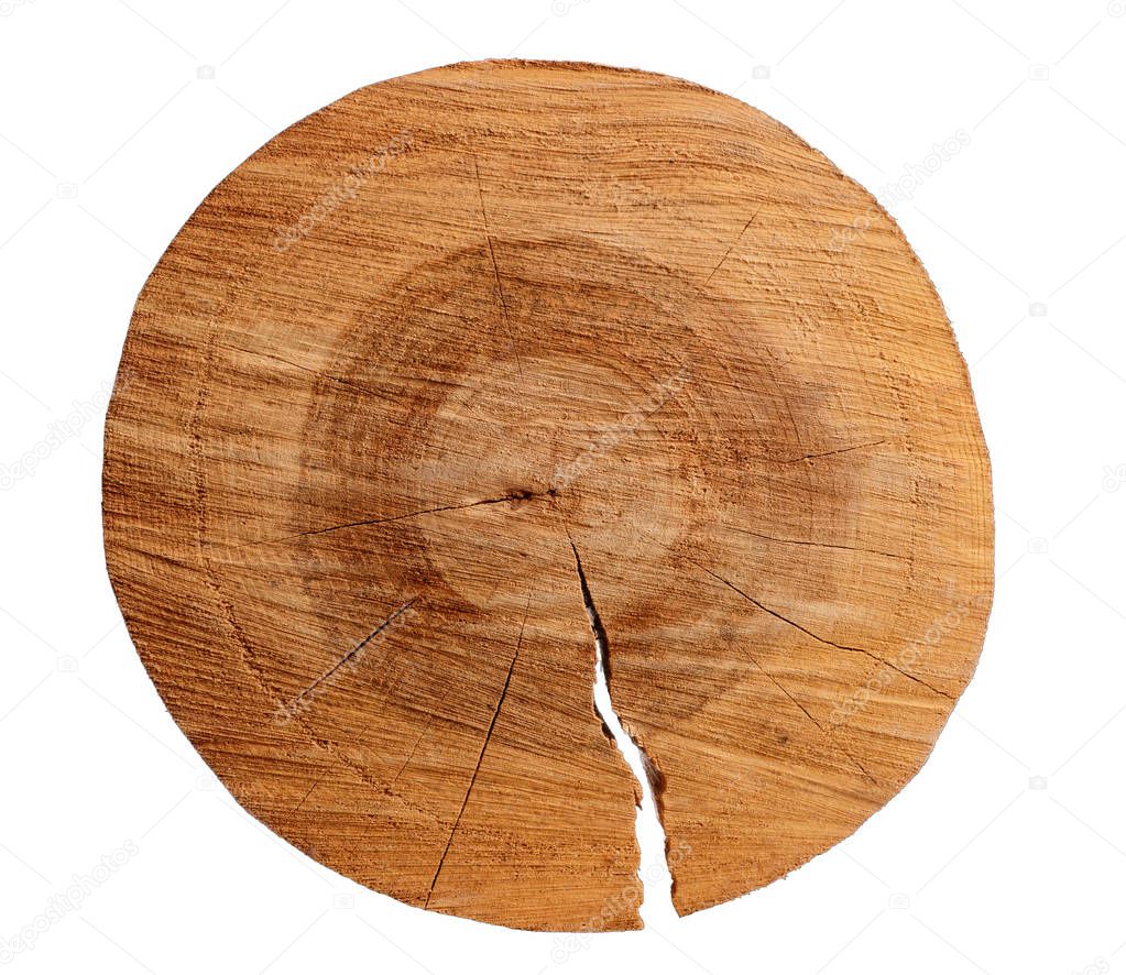 Cutted circular slice of the brown wooden log on a white isolated background.