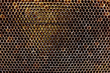 Balmumu bal peteğinin bir bölümünün arkaplan dokusu ve deseni tam çerçeve görünümlü altın bal dolu bir arı kovanına ait..