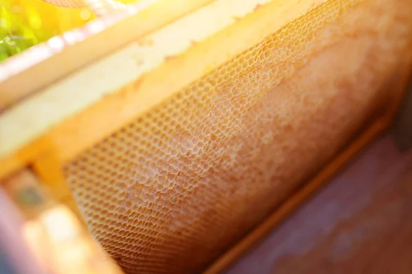 Hintergrundstruktur Und Muster Eines Teils Der Wachswabe Aus Einem Bienenstock — Stockfoto