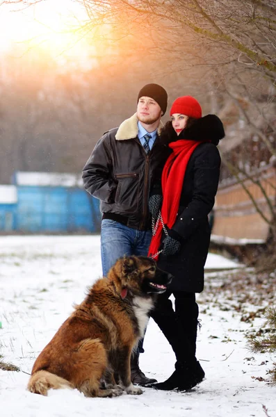 Happy Couple Dogs Winter Forest Lovely Moments Outdoor Holidays — Stock Photo, Image