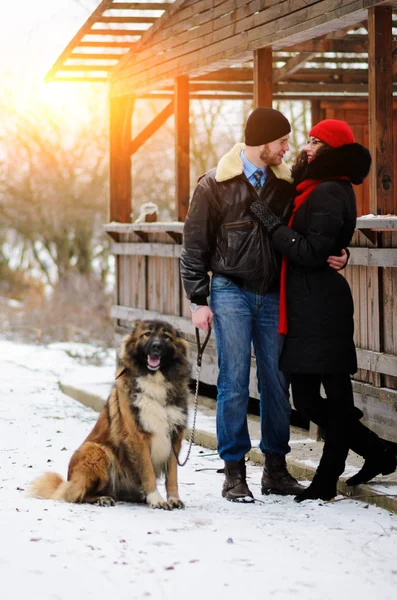 Happy Couple Dogs Winter Forest Lovely Moments Outdoor Holidays — Stock Photo, Image