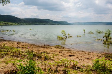 Güzel kumlu göl manzara dağlar, yeşil ormanlar, parlak güneşli gökyüzü bulutlu.