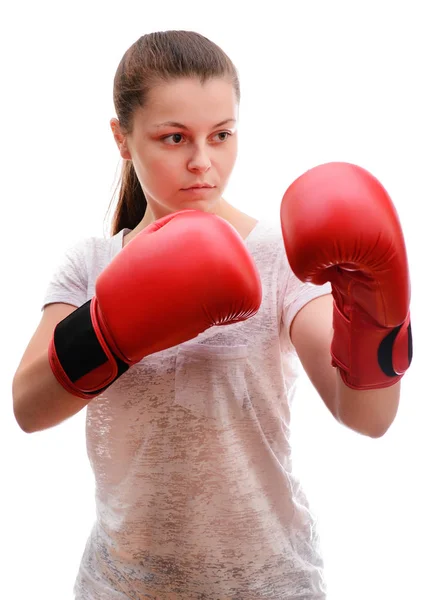 Een Jonge Sport Vrouw Boxer Vormt Camera Rode Bokshandschoenen Concentraten — Stockfoto